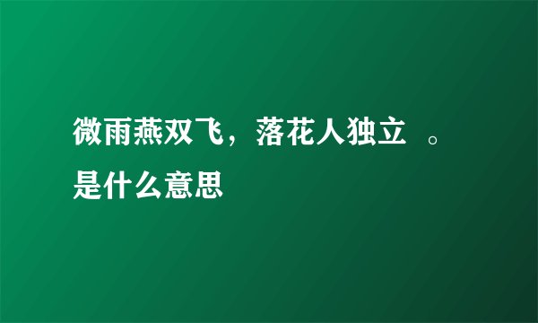 微雨燕双飞，落花人独立  。是什么意思