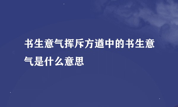 书生意气挥斥方遒中的书生意气是什么意思