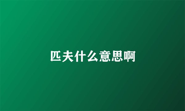 匹夫什么意思啊