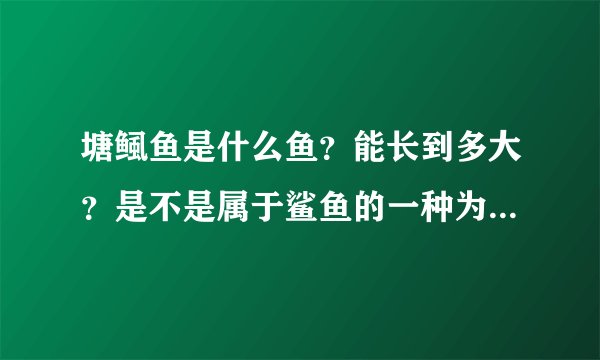 塘鲺鱼是什么鱼?能长到多大?是不是属于鲨鱼的一种为什么塘鲺鱼会吃人?