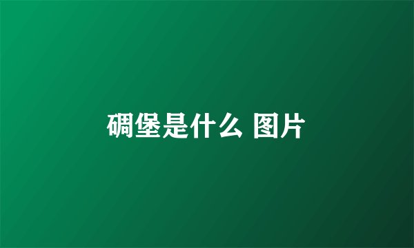 碉堡是什么 图片