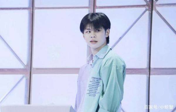 王晨艺为什么退赛?