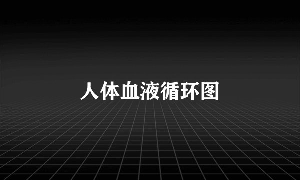 人体血液循环图