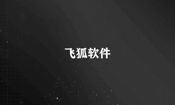 飞狐软件