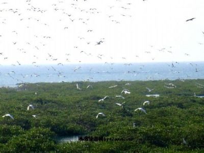 广西北海旅游景点大全