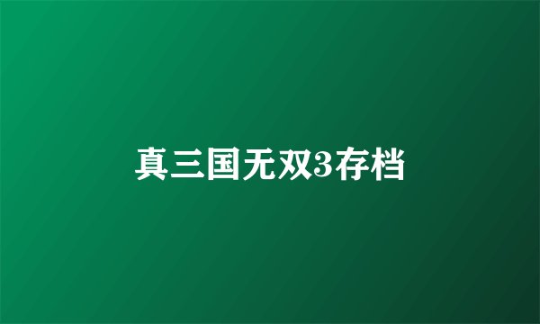 真三国无双3存档