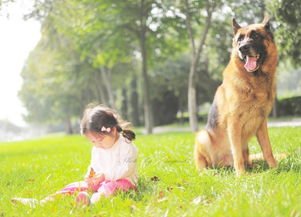 为什么说晒太阳能够补钙