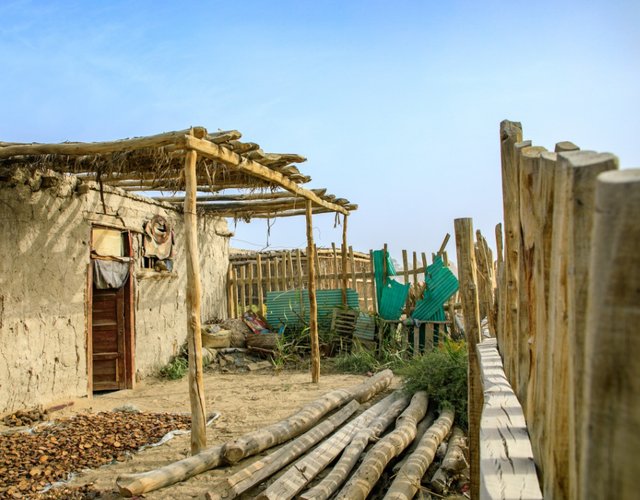 克里雅人生活在沙漠深处,他们的来历是什么?