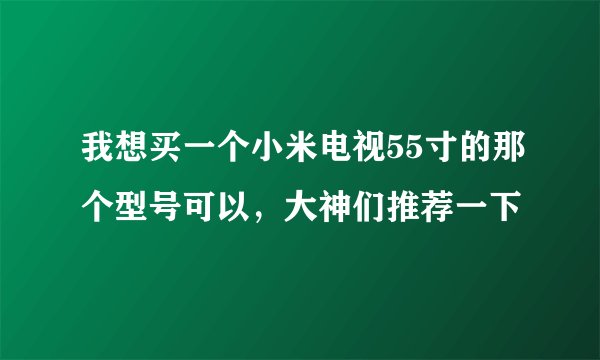 我想买一个小米电视55寸的那个型号可以，大神们推荐一下