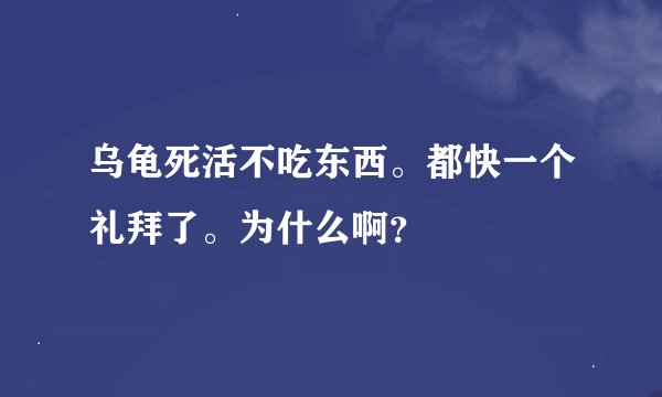 乌龟死活不吃东西。都快一个礼拜了。为什么啊？