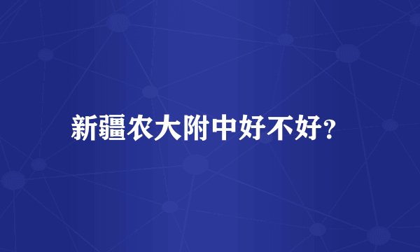 新疆农大附中好不好？