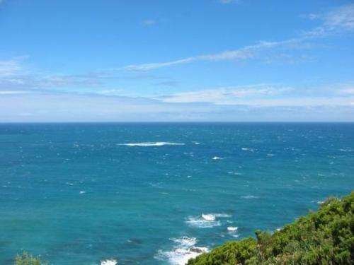 太平洋的中间是什么脑筋急转弯