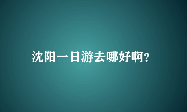 沈阳一日游去哪好啊？