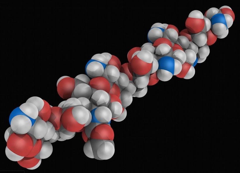 甲壳素肥料有什么功能?使用方法是什么?