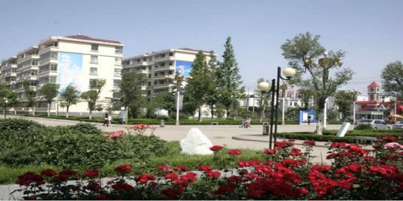 河南有哪些大专院校?