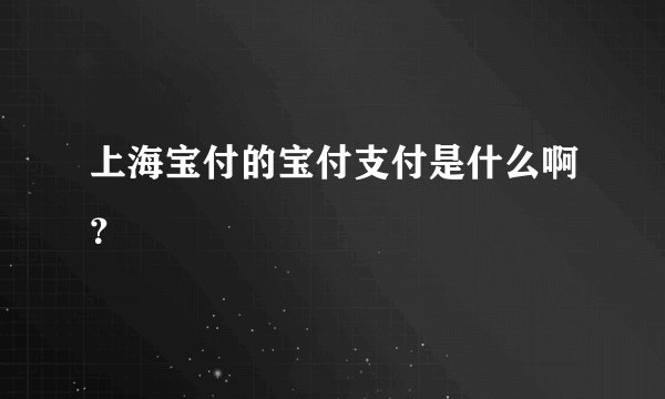 上海宝付的宝付支付是什么啊？