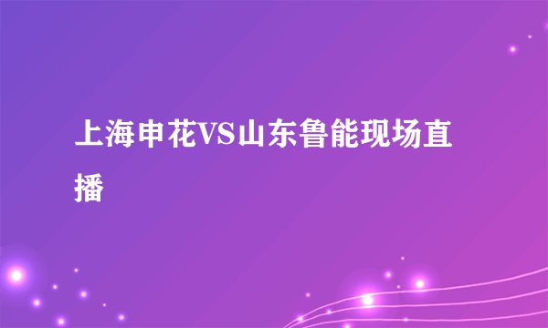 上海申花VS山东鲁能现场直播