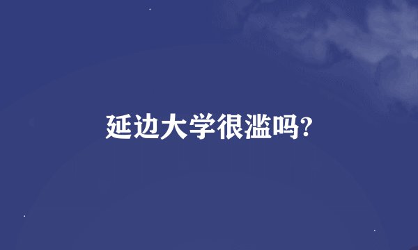 延边大学很滥吗?