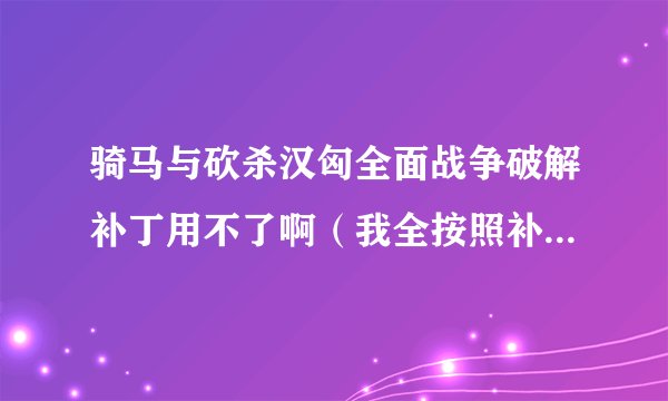 骑马与砍杀汉匈全面战争破解补丁用不了啊（我全按照补丁说明上做的）