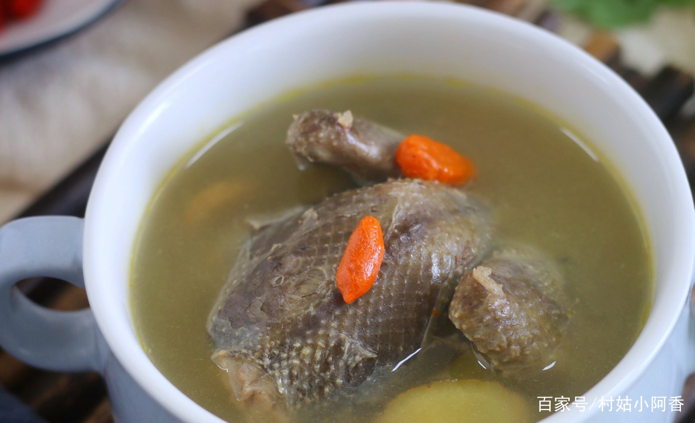 鸽子汤怎么做?