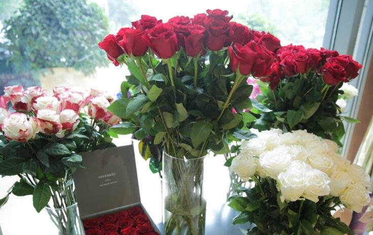 三十三朵玫瑰代表什么意思