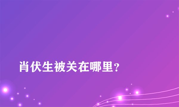 
肖伏生被关在哪里？

