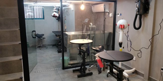 开一个宠物店要多少钱?