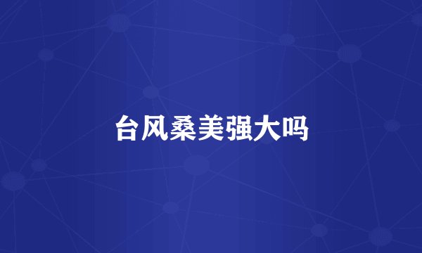 台风桑美强大吗