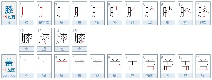 《大话西游》 里三十娘生孩子时说 《那是我的菠萝盖啊》请问菠萝盖是什么意思？