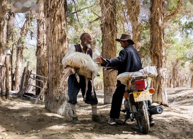 克里雅人生活在沙漠深处,他们的来历是什么?