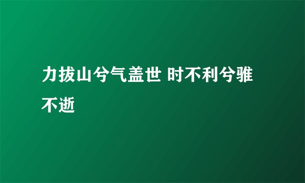 力拔山兮气盖世 时不利兮骓不逝