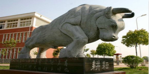 河南有哪些大专院校?