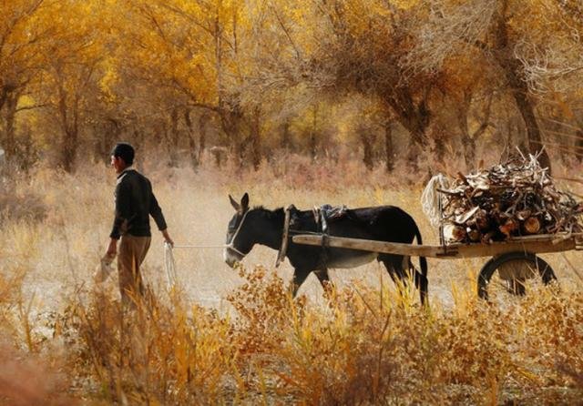 克里雅人生活在沙漠深处,他们的来历是什么?