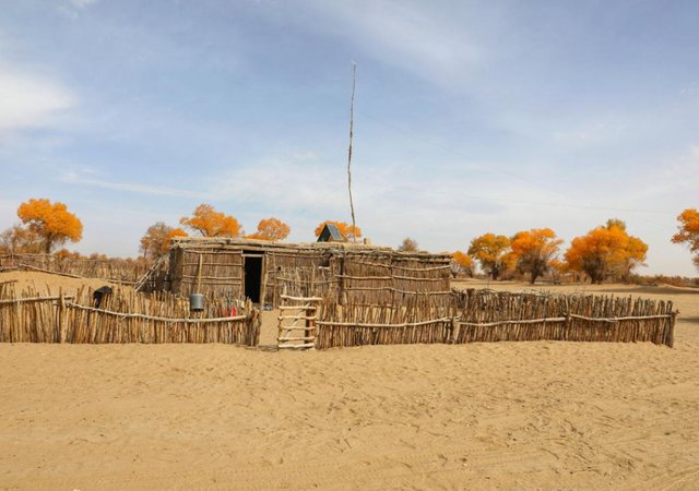 克里雅人生活在沙漠深处,他们的来历是什么?