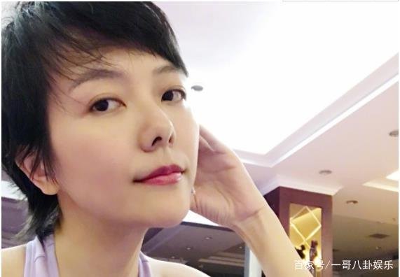 杨乐乐成被强制执行人,本人和被告公司已经发出回应了,究竟是怎么一回事?