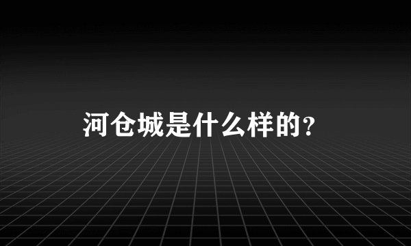 河仓城是什么样的？