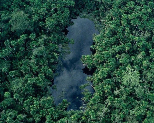 连烧三周的亚马逊大火背后的真相是什么？