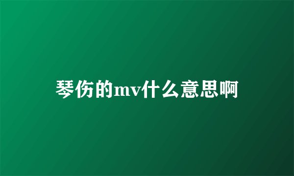 琴伤的mv什么意思啊