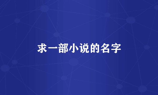 求一部小说的名字
