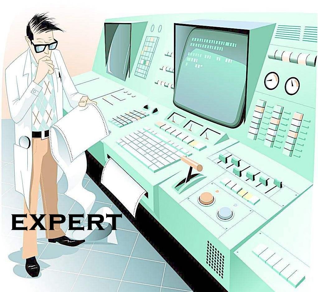 专家英文怎么说