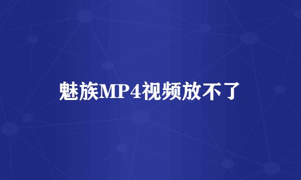 魅族MP4视频放不了