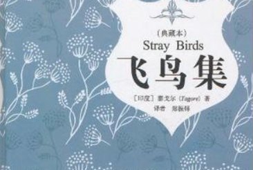 如何评价冯唐的首部译作《飞鸟集》？