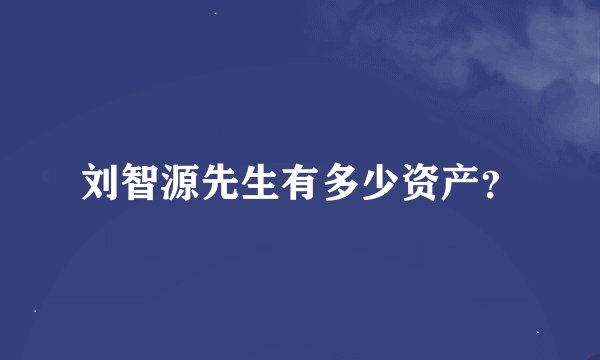 刘智源先生有多少资产？