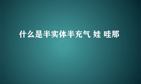 什么是半实体半充气 娃 哇那
