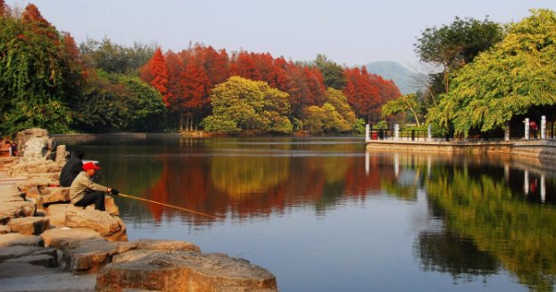 广州周边有哪些适合露营的地方推荐?