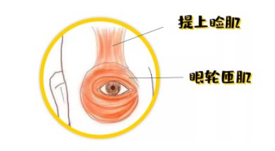 眼袋修复