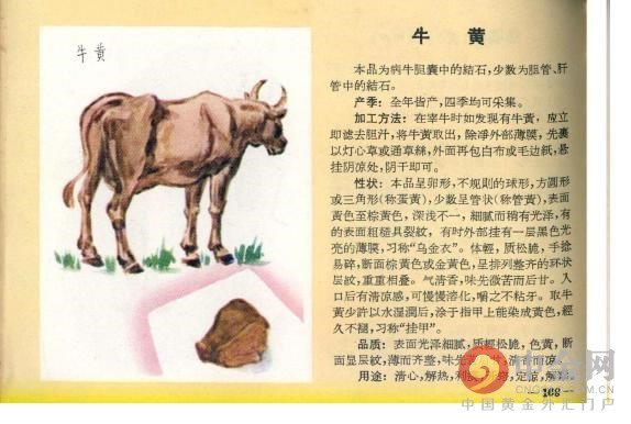 鸡宝长啥样，有没有市场价？