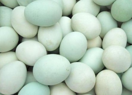 鸭蛋的功效与作用是什么？