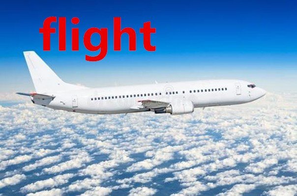 flight是什么意思？