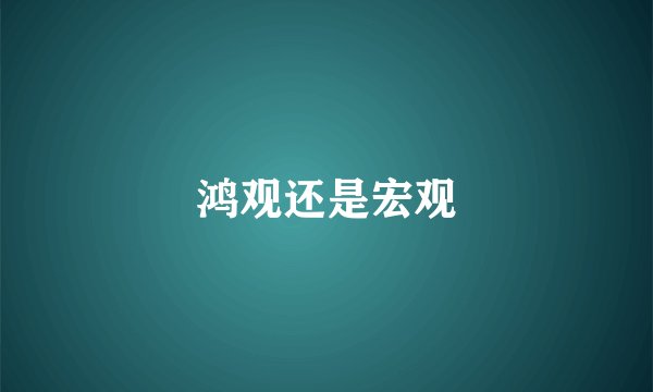 鸿观还是宏观